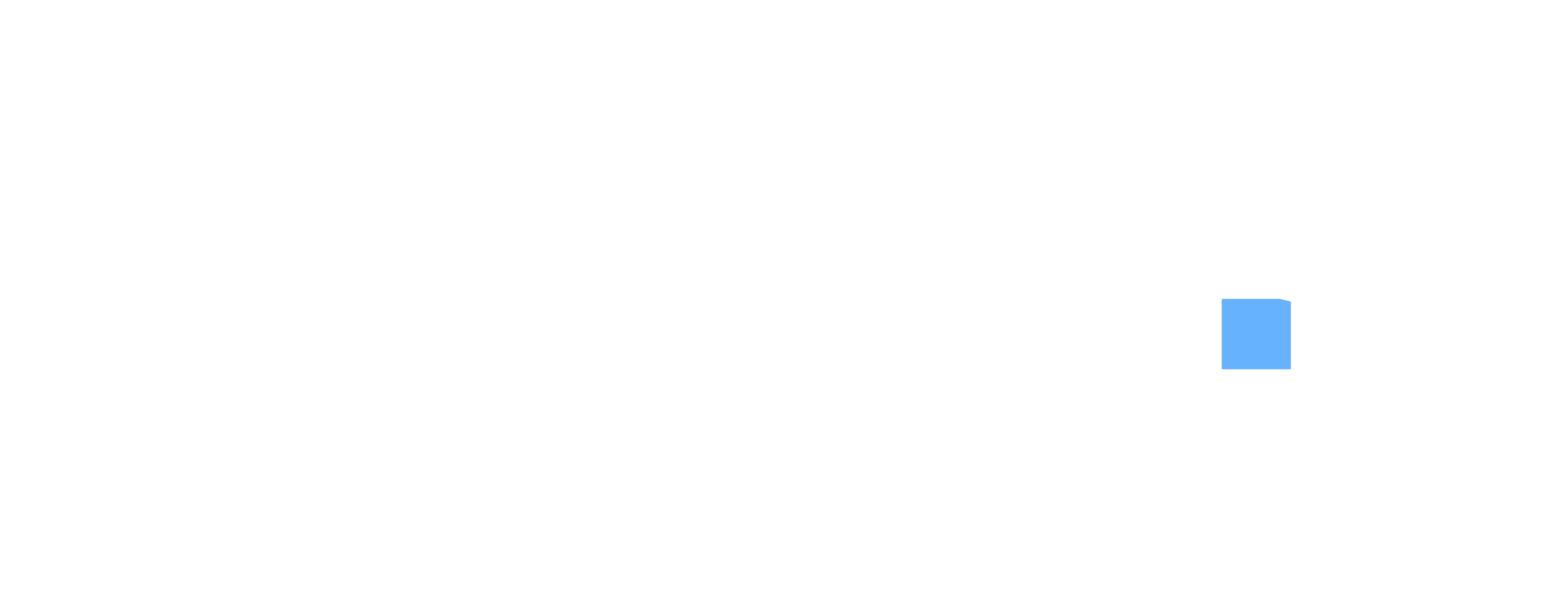 Website cursus witte logo